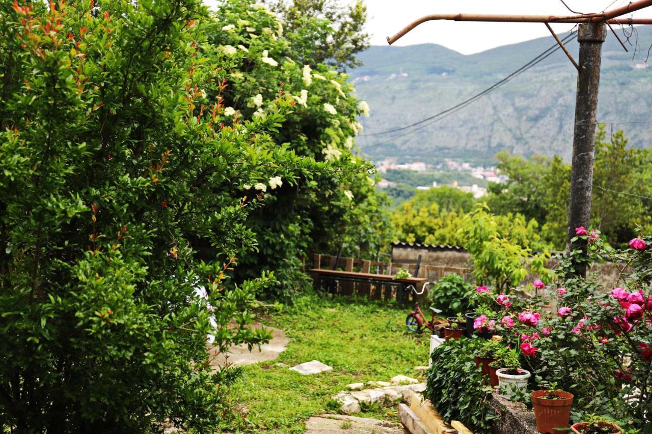 Hotel Kamp Seosko Domacinstvo Radman Herceg Novi Exteriér fotografie