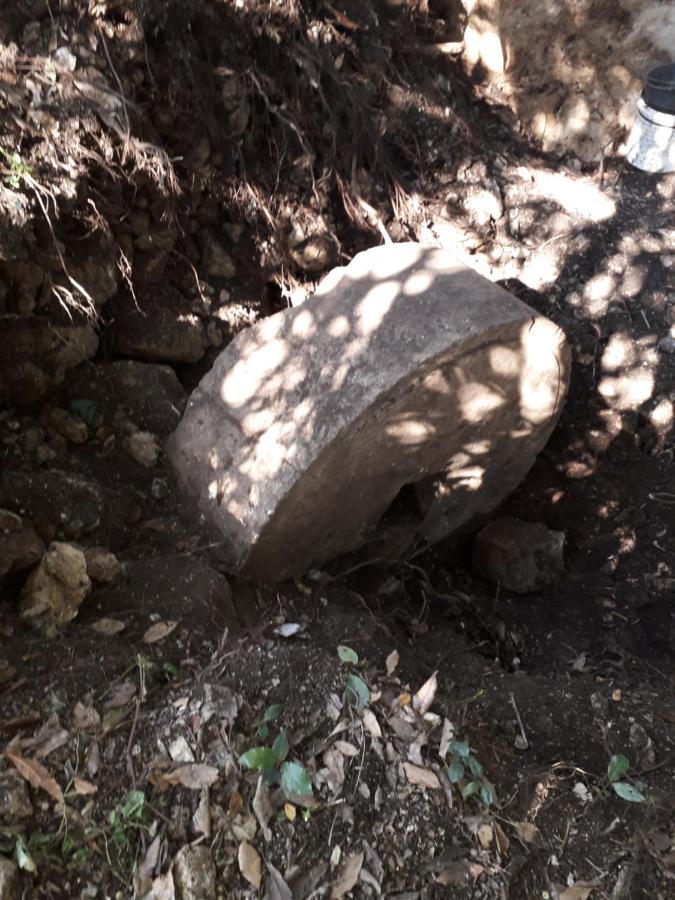 Hotel Kamp Seosko Domacinstvo Radman Herceg Novi Exteriér fotografie