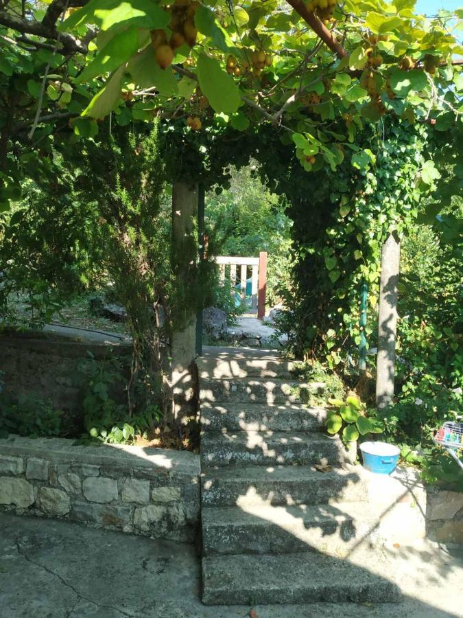 Hotel Kamp Seosko Domacinstvo Radman Herceg Novi Exteriér fotografie