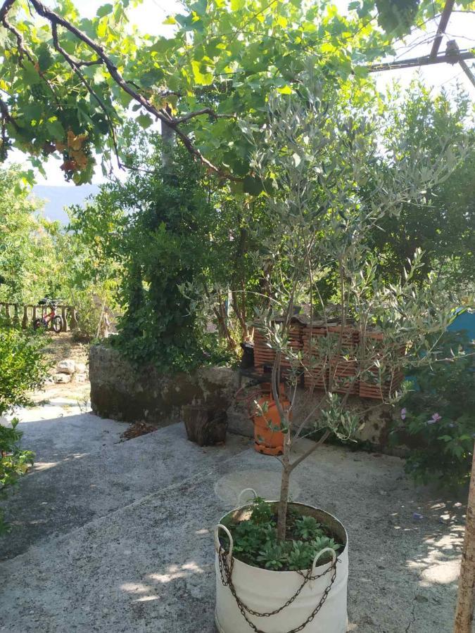 Hotel Kamp Seosko Domacinstvo Radman Herceg Novi Exteriér fotografie