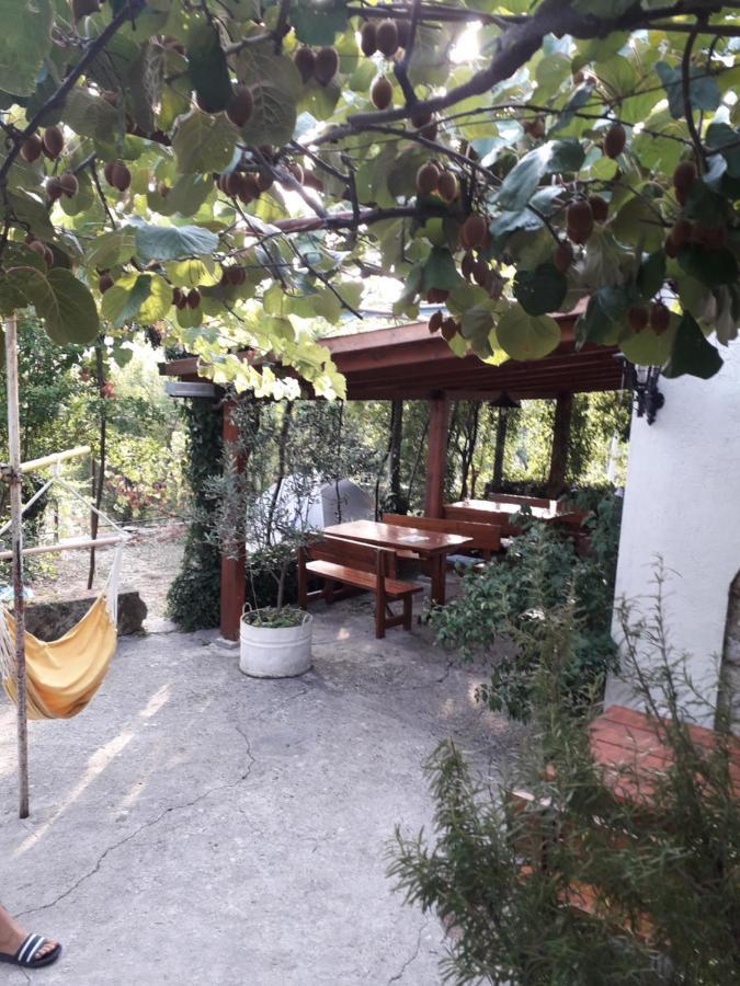 Hotel Kamp Seosko Domacinstvo Radman Herceg Novi Exteriér fotografie
